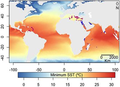 Warming Threatens to Propel the Expansion of the Exotic Seagrass Halophila stipulacea